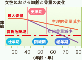 女性における加齢と骨量の変化