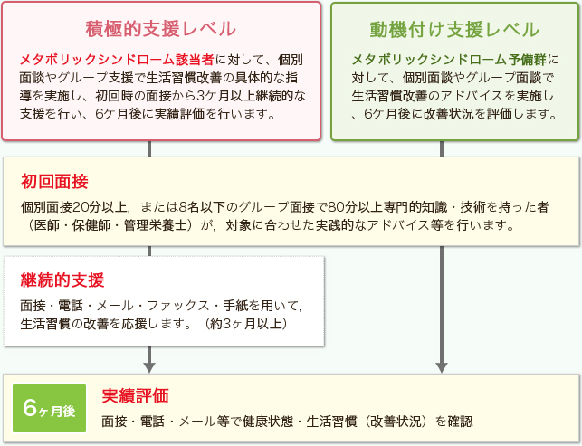 特定保健指導の内容