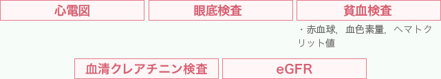 詳細な健診診断の項目