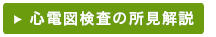 心電図所見の説明