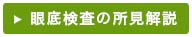 眼底検診所見の説明