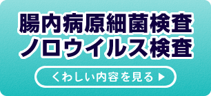 腸内病原細菌検査・ノロウイルス検査